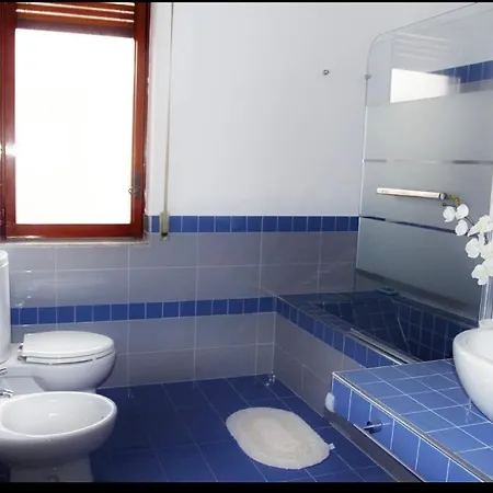 Alexander * Syracuse